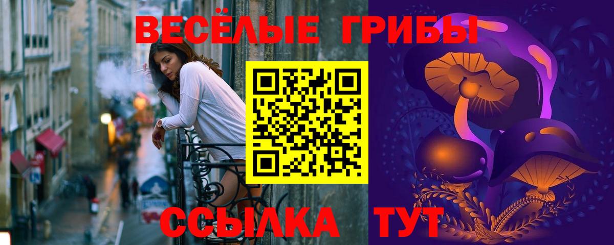 Псилоцибиновые грибы мухоморы  Вход с VPN  Кисловодск 