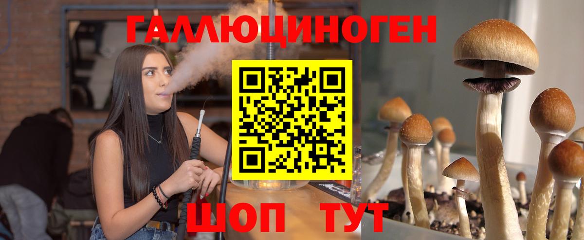 Галлюциногенные грибы мицелий Кисловодск